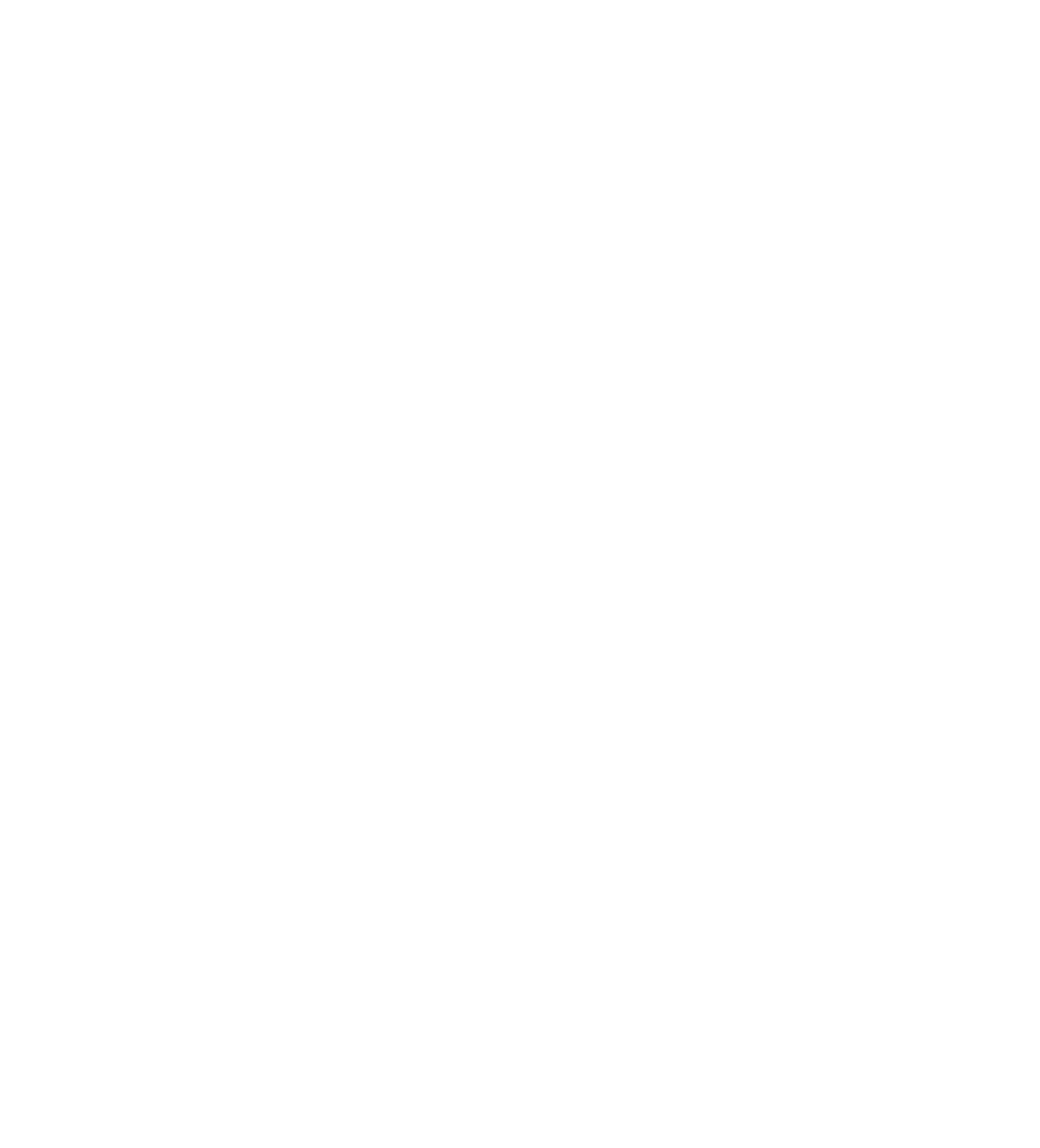 Wicked Whiskers Logo